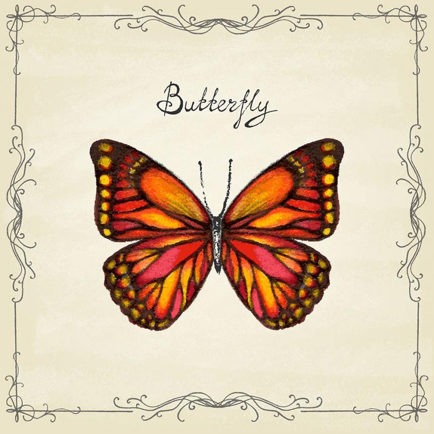 Πίνακας σε καμβά Κόκκινη Πεταλούδα