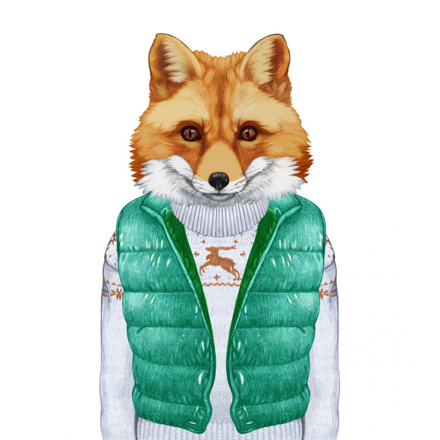 Πίνακας Αλεπού με πράσινο αμάνικο