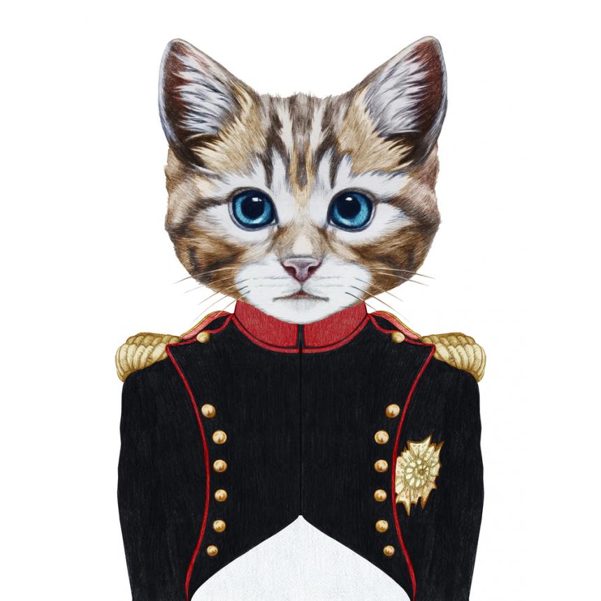 Πίνακας Γάτα στρατηγός