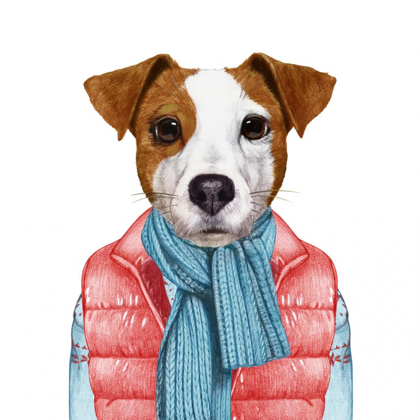 Πίνακας Σκύλος με κασκόλ