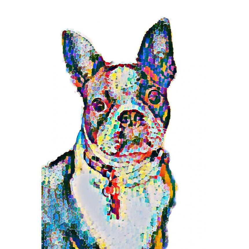 Πίνακας ζωγραφικής Σκύλος Multicolor