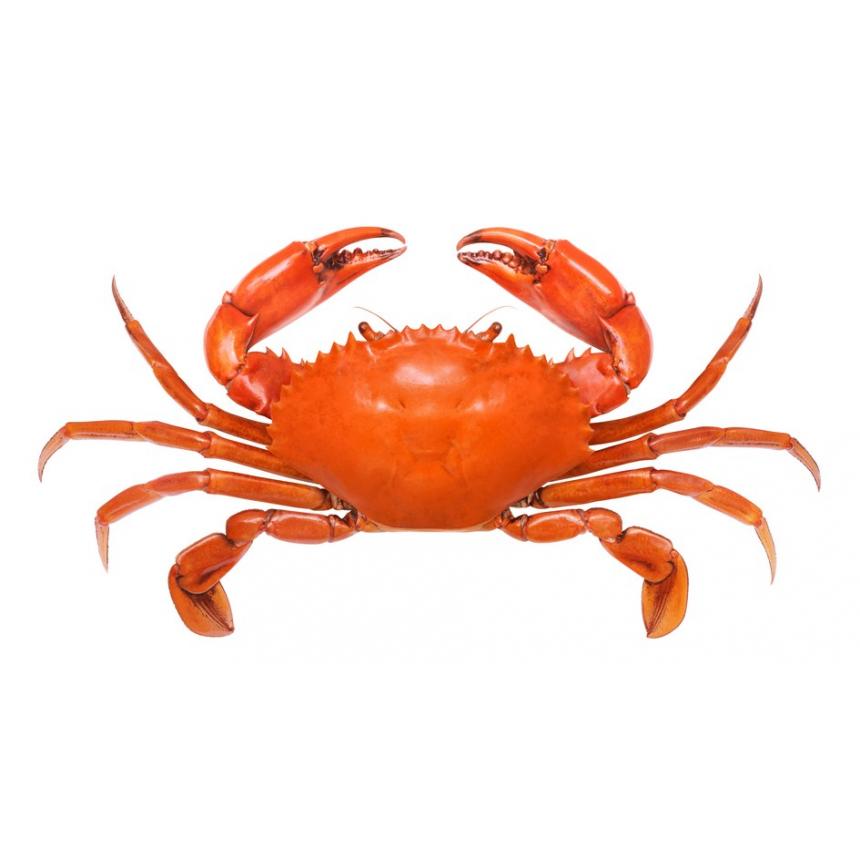 Πίνακας Καβούρι 2