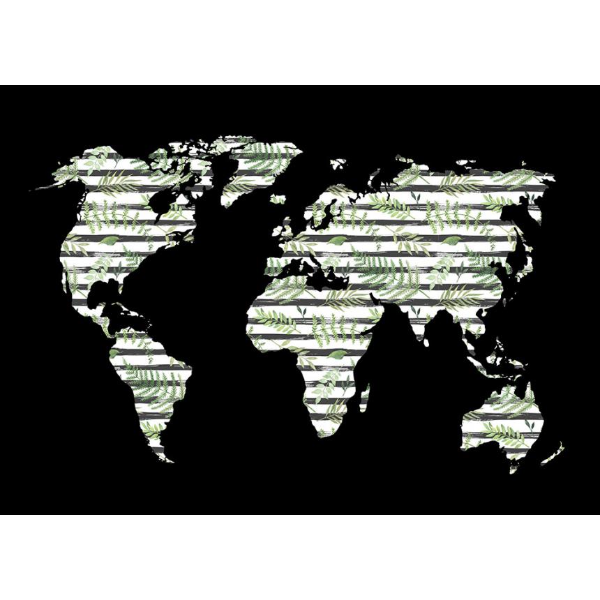 Πίνακας σε καμβά Παγκόσμιος χάρτης
