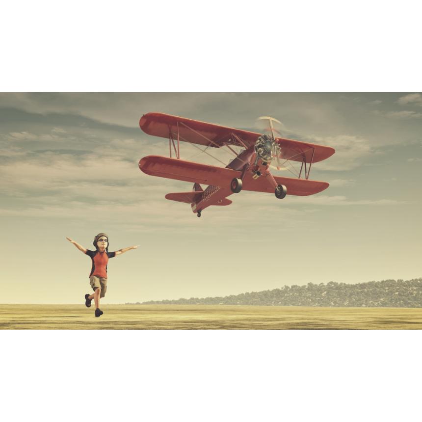 Πίνακας Πέταγμα