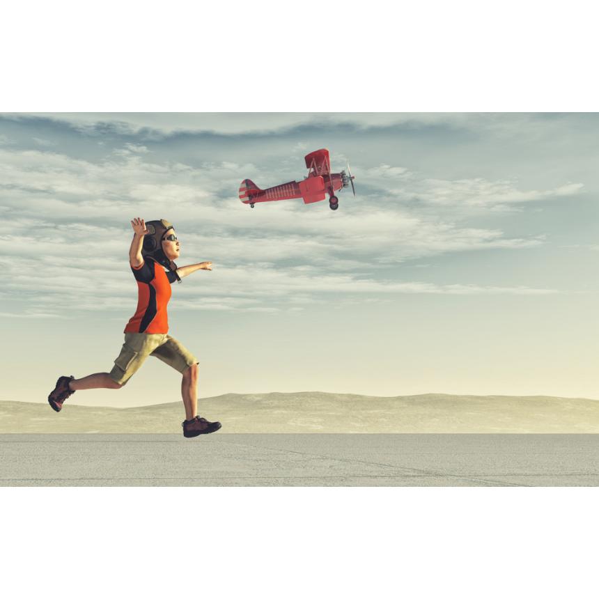 Πίνακας Το πέταγμα