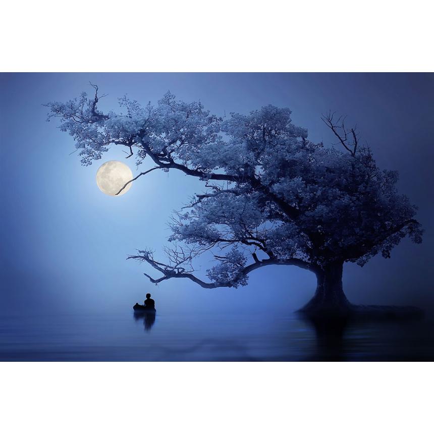 Φωτογραφικό έργο Φεγγάρι και Δέντρο