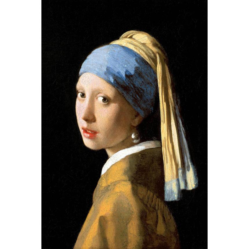 Πίνακας Johannes Vermeer - Girl With A Pearl Earring