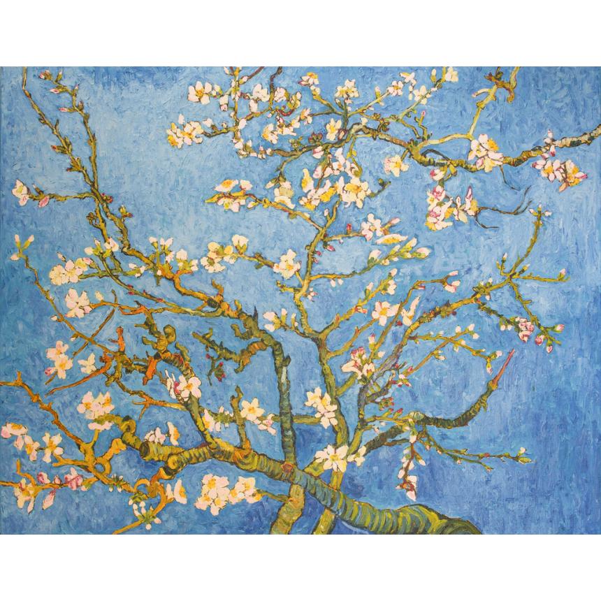 Πίνακας Van Gogh -  Άνθη Αμυγδαλιάς