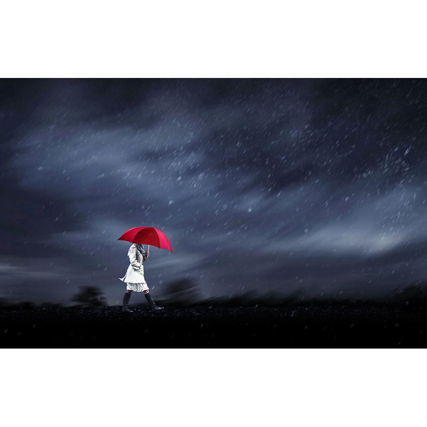 Πίνακας Ομπρέλα στη βροχή