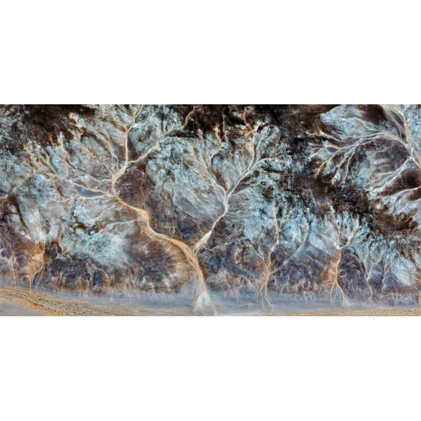 Πίνακας Abstract κήπος δέντρων