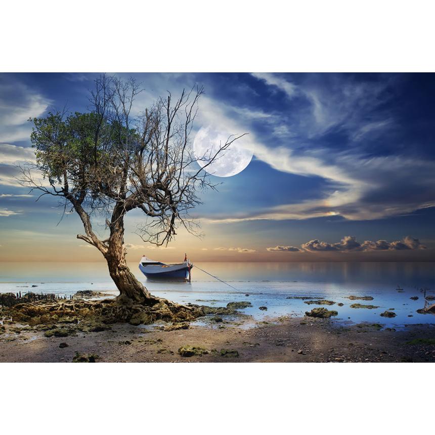 Πίνακας Βάρκα και φεγγάρι