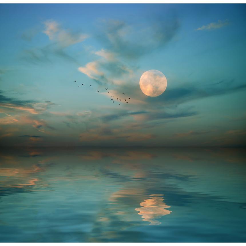 Πίνακας σε καμβά Πανσέληνος