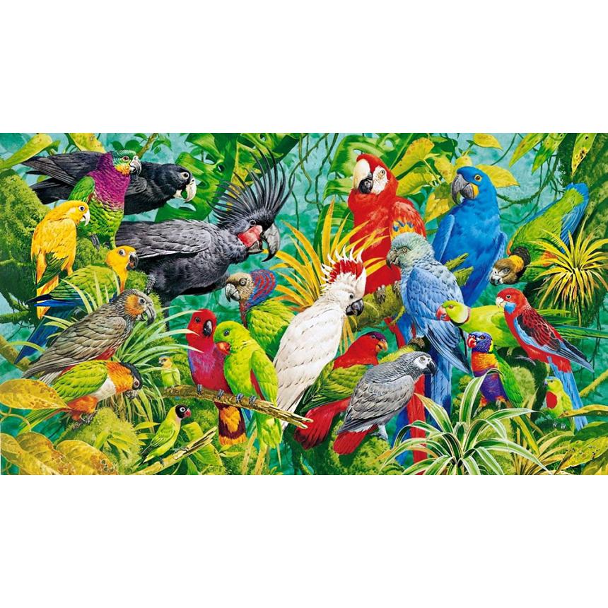 Πίνακας σε καμβά Παπαγάλοι 2