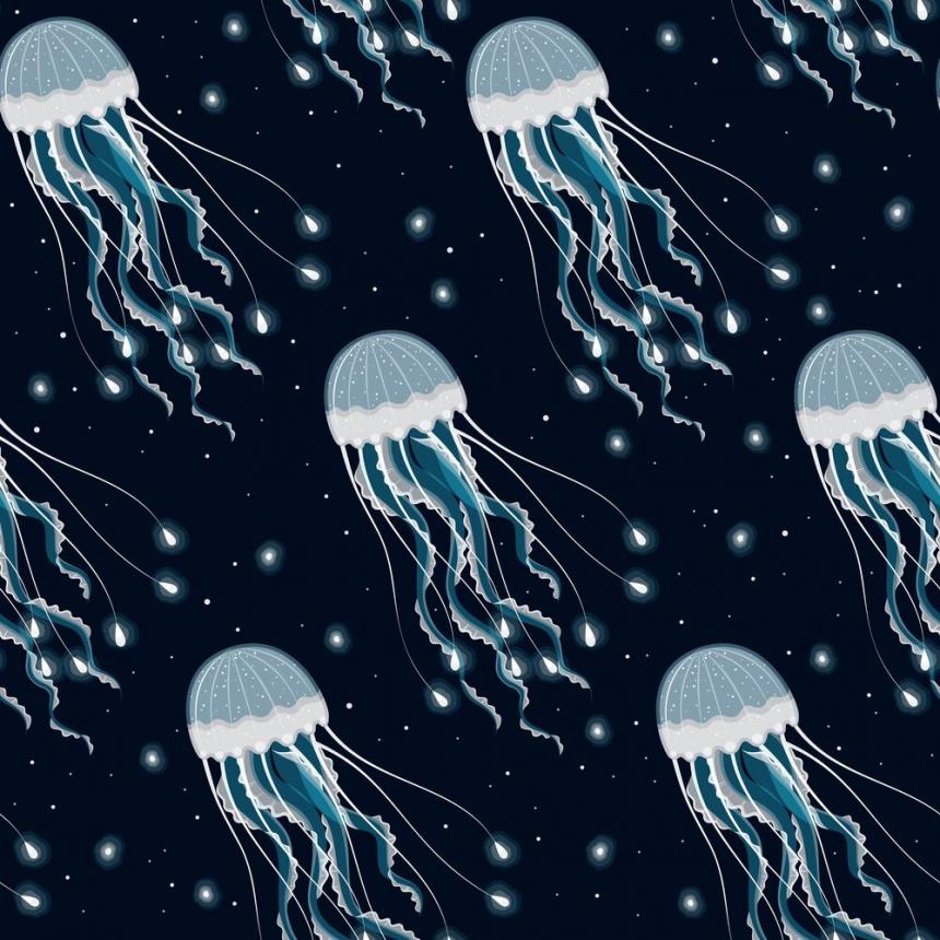 Πίνακας Μέδουσες γαλάζιες