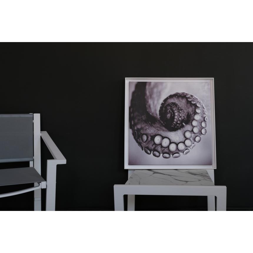 Πίνακας Πλοκάμι BW