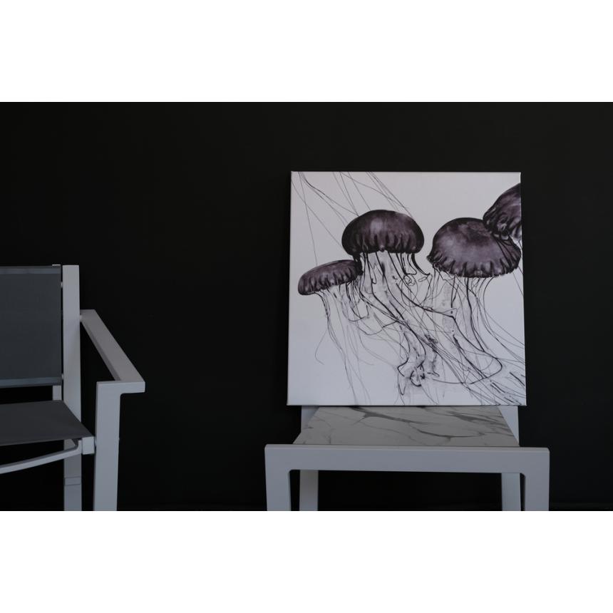 Πίνακας Μέδουσες BW