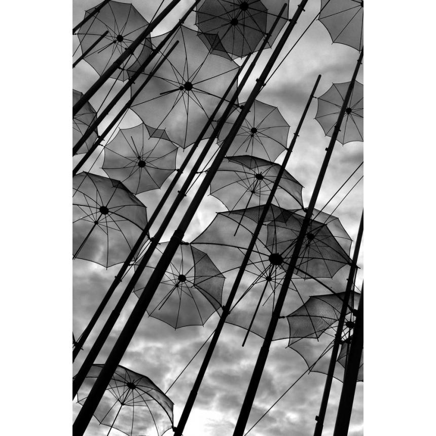 Πίνακας Oμπρέλες BW