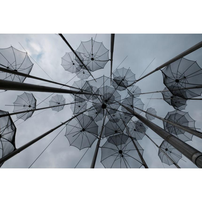 Πίνακας Ομπρέλες