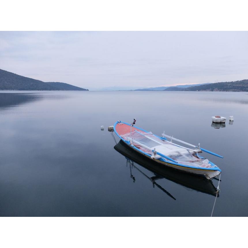 Πίνακας Τοπίο με βάρκα