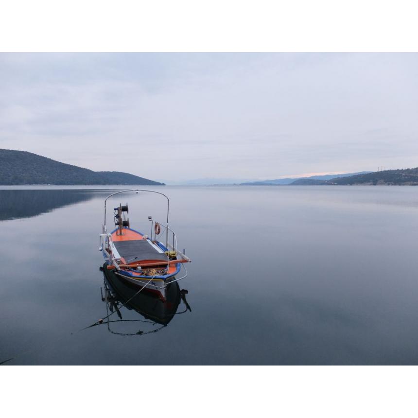 Πίνακας Τοπίο με βάρκα