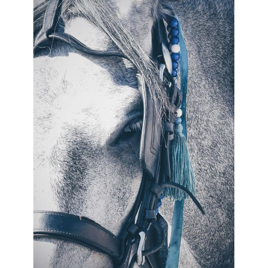 Πίνακας Άλογο