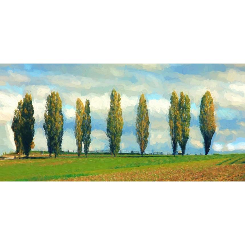 Πίνακας Κυπαρίσσια