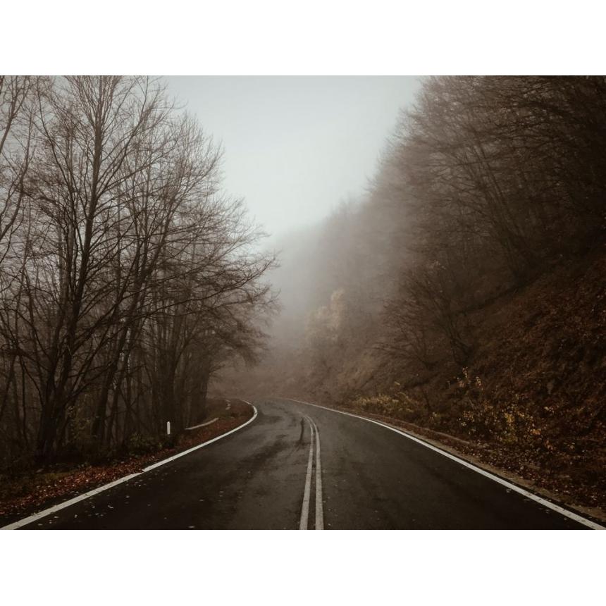 Πίνακας Τοπίο με ομίχλη