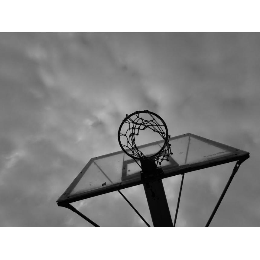 Πίνακας Καλάθι του μπάσκετ BW