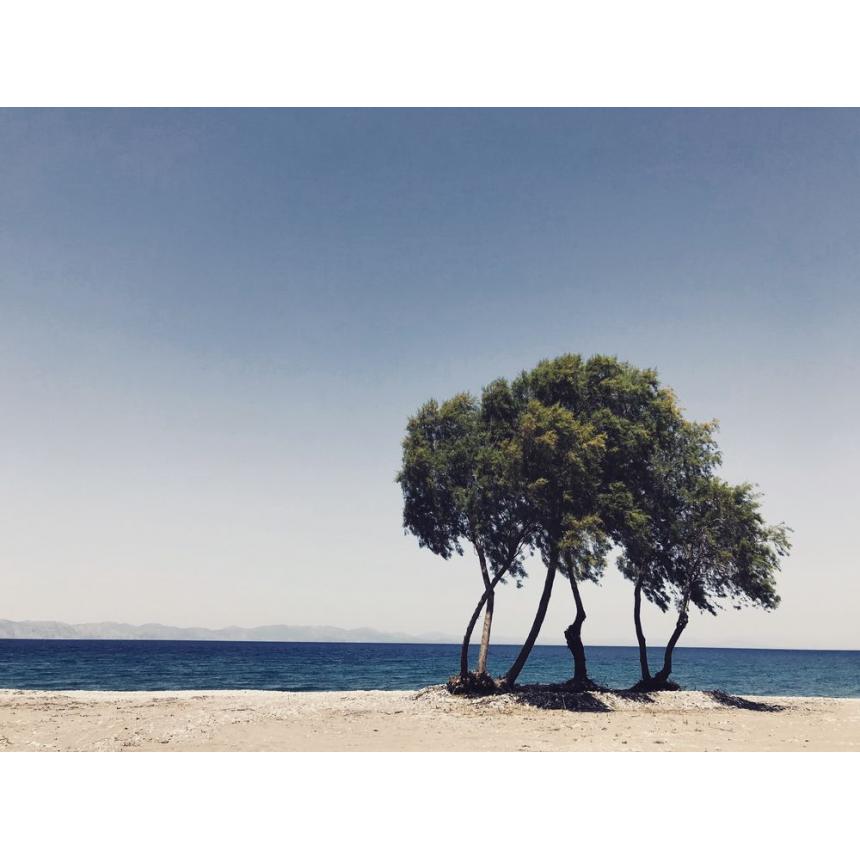 Πίνακας Τοπίο στη θάλασσα