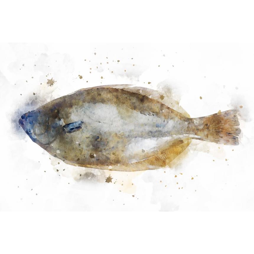 Πίνακας Ψαράκι