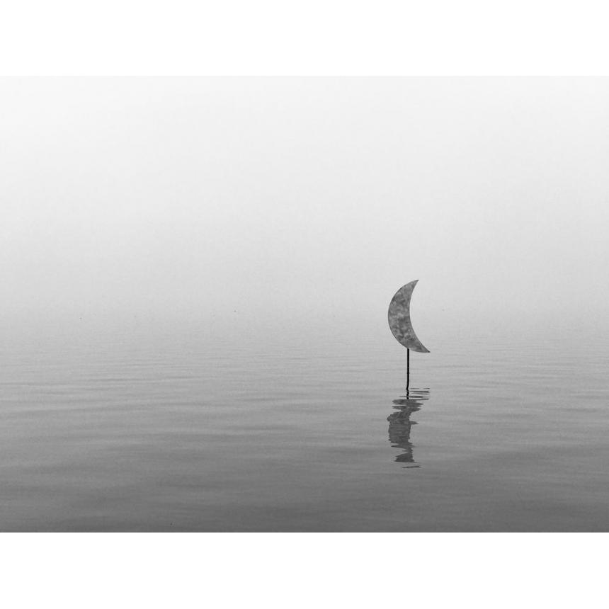 Πίνακας Τοπίο με ομίχλη BW