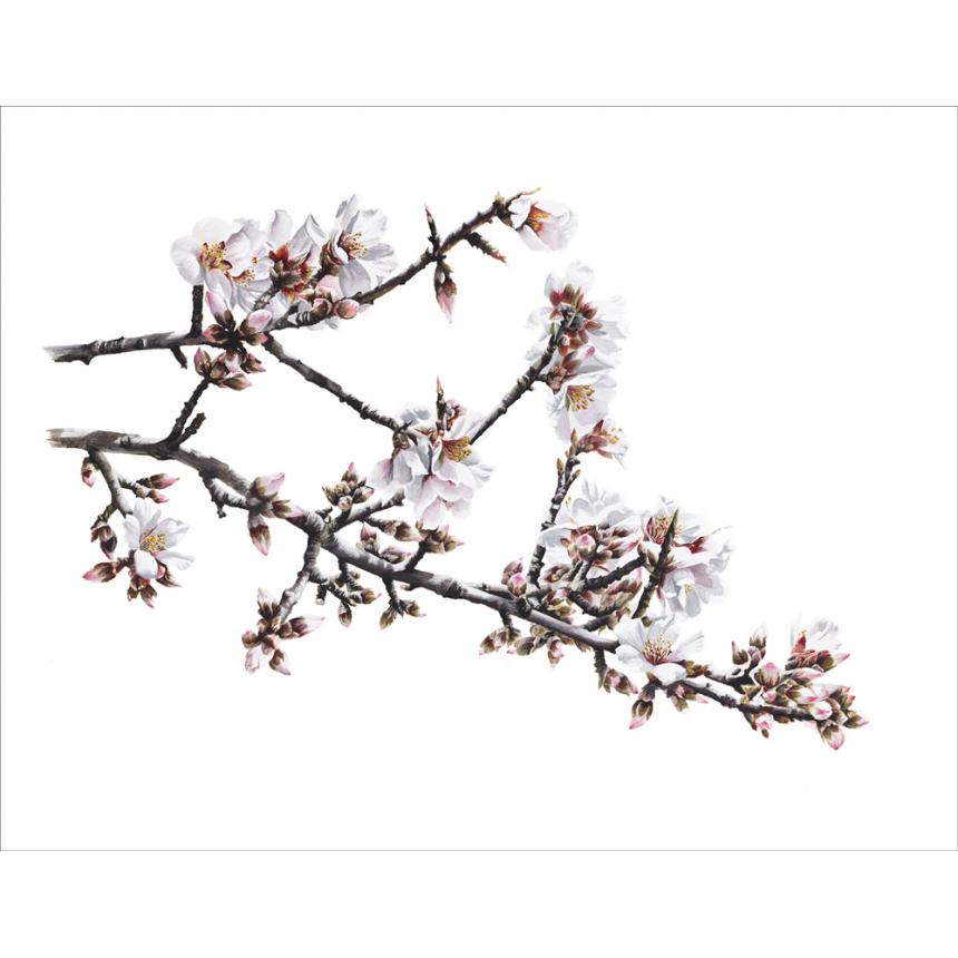 Πίνακας Άνθη αμυγδαλιάς