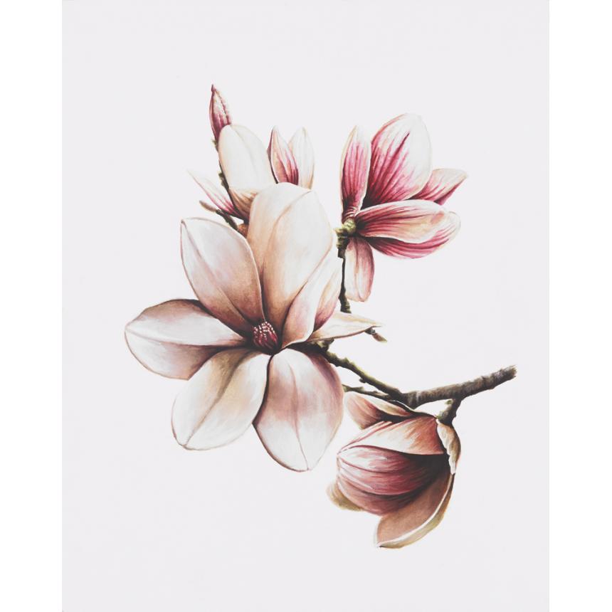 Πίνακας Μανόλιες B