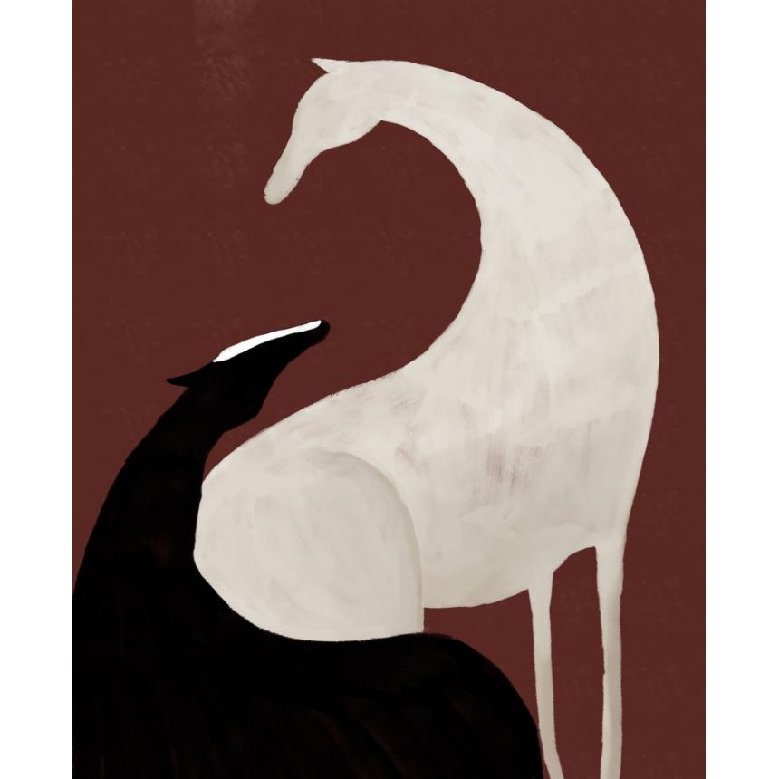 Black and white horse