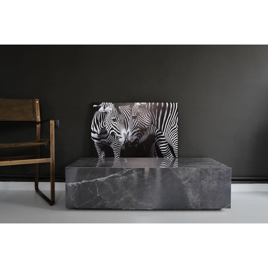 Φωτογραφικό έργο Ζέβρες