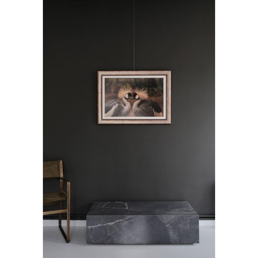 Φωτογραφικό έργο Γκρίζοι εστεμμένοι γερανοί