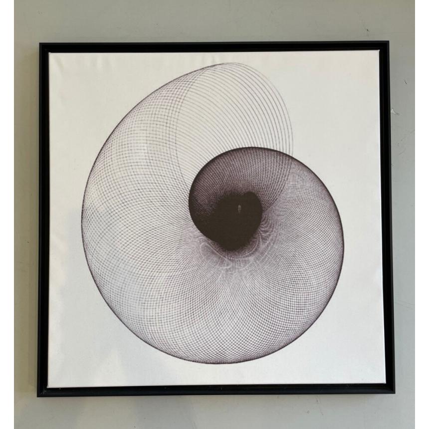 Πίνακας Ναυτίλος BW