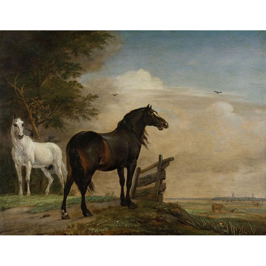 Πίνακας Άσπρο και μαύρο Άλογο