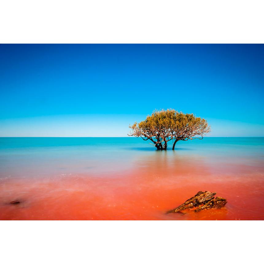 Πίνακας Κόκκινη Θάλασσα