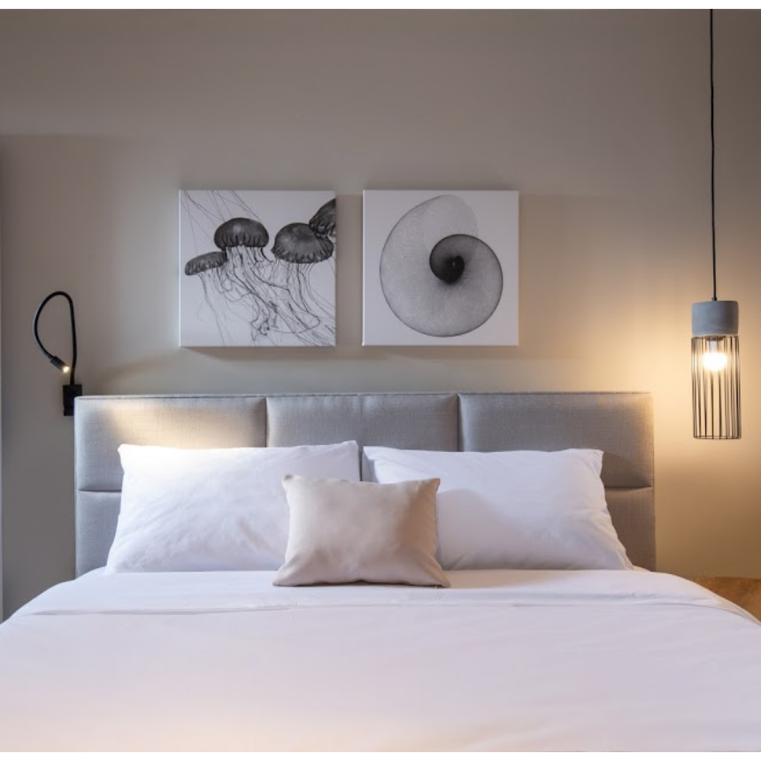 Πίνακας Μέδουσες BW