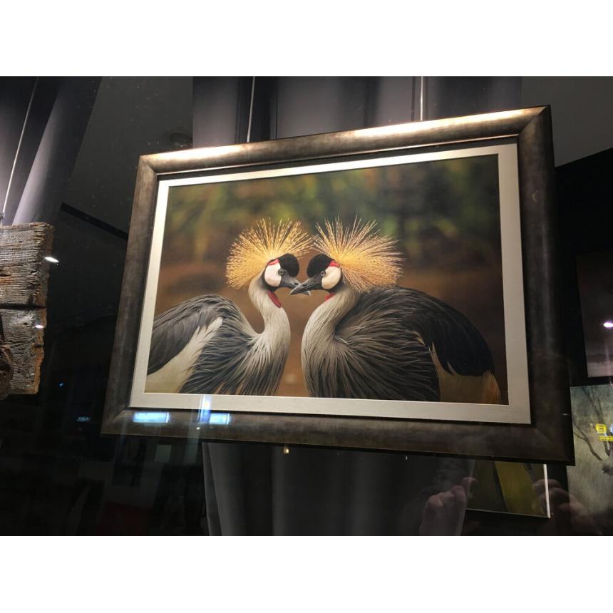 Φωτογραφικό έργο Γκρίζοι εστεμμένοι γερανοί