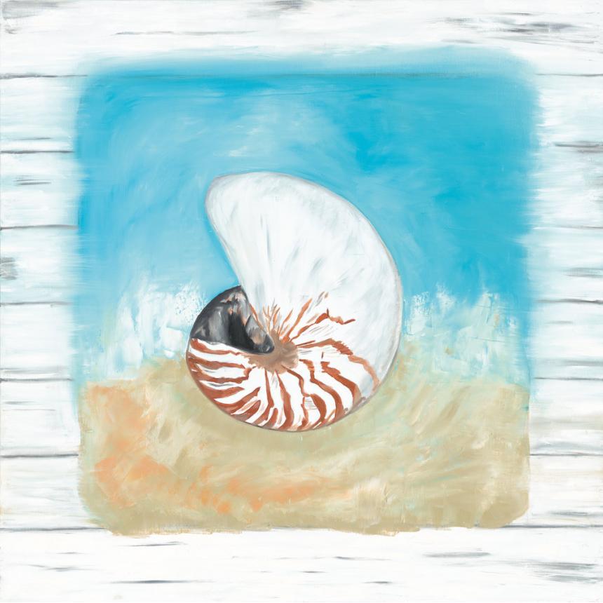 Πίνακας ζωγραφικής Ναυτίλος