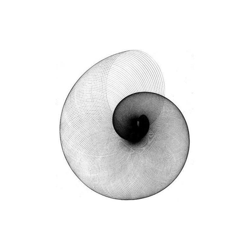 Πίνακας Ναυτίλος Γραμμικό BW