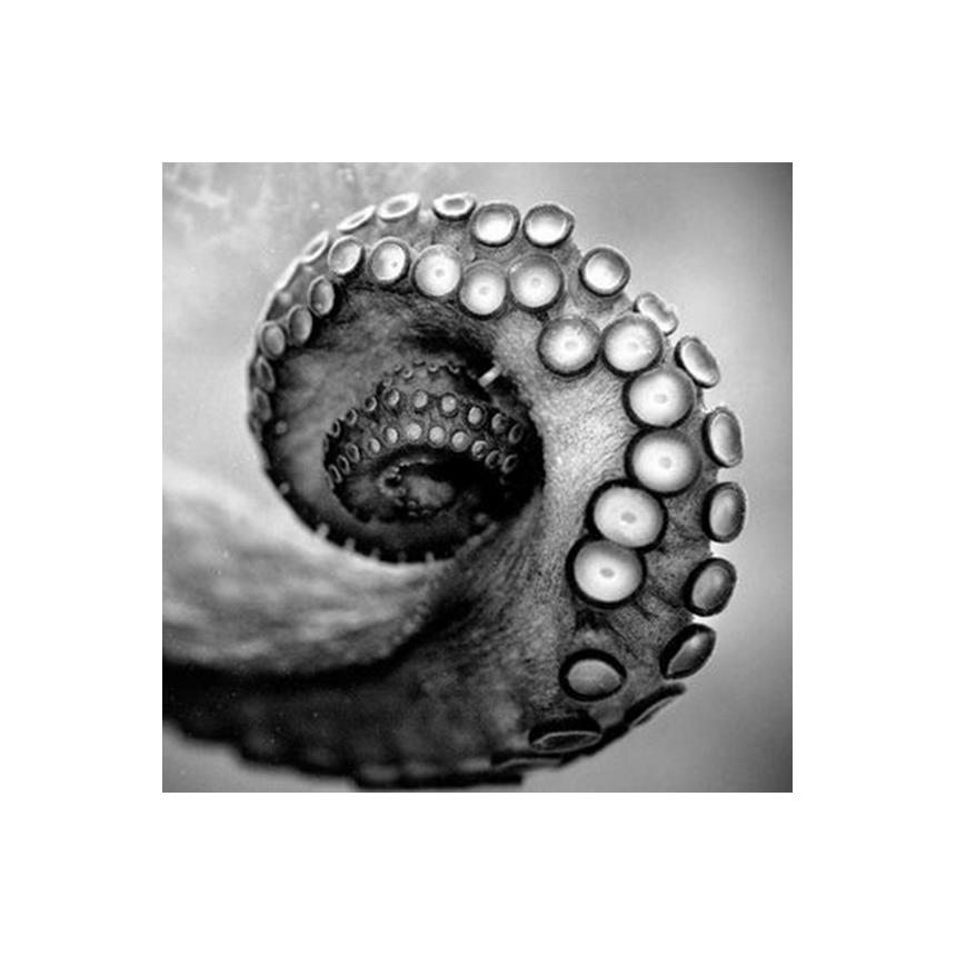 Πίνακας Πλοκάμι BW