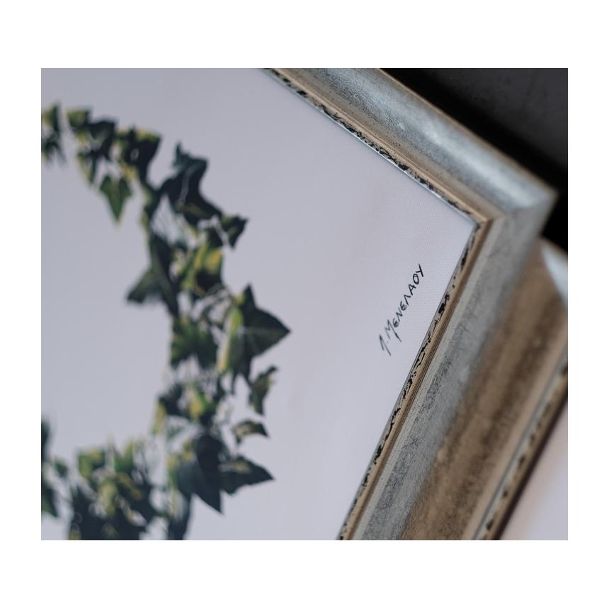 Πίνακας σε καμβά Στεφάνι Κισσού