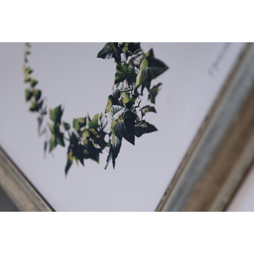 Πίνακας σε καμβά Στεφάνι Κισσού