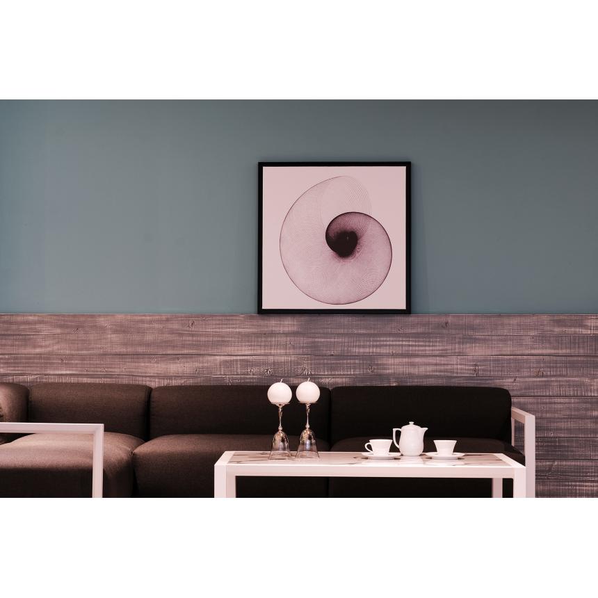 Πίνακας Ναυτίλος Γραμμικό BW