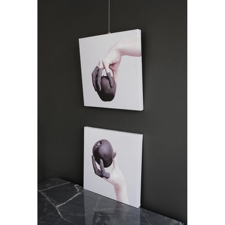 Πίνακας Μήλο - Χέρι BW