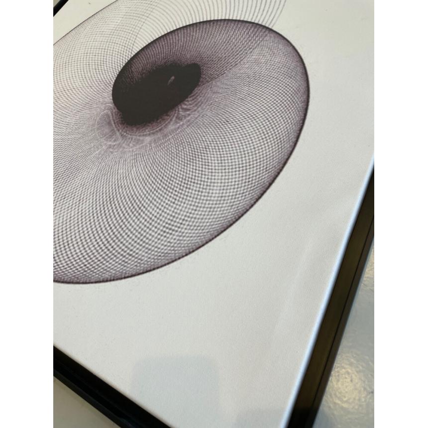 Πίνακας Ναυτίλος BW